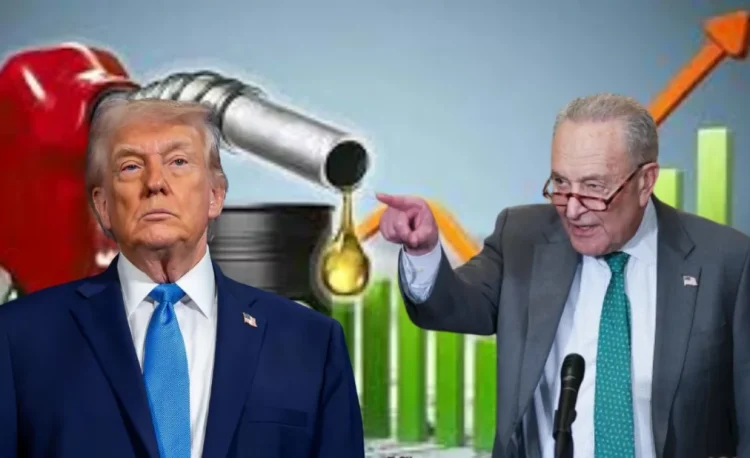 যুক্তরাষ্ট্রে জ্বালানি তেলের দাম ৭৫ শতাংশ বৃদ্ধির জন্য ট্রাম্পকে দায়ী করলেন শুমার